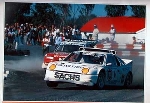 Sachs Original 1989 Rallycross-europaweltmeisterschaft Martin