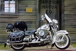 Druck 1999 Harley Davidson Flsts