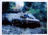 Rally 1997 Colin Mcrae/derek Ringer