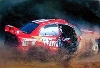 Rally 1999/98 Foto Mcklein Burns/reid